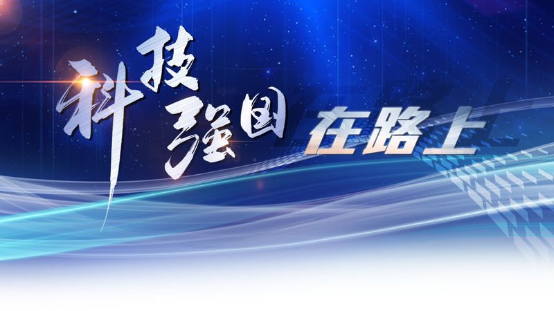 智慧解决方案：性价比高的关键要素解析